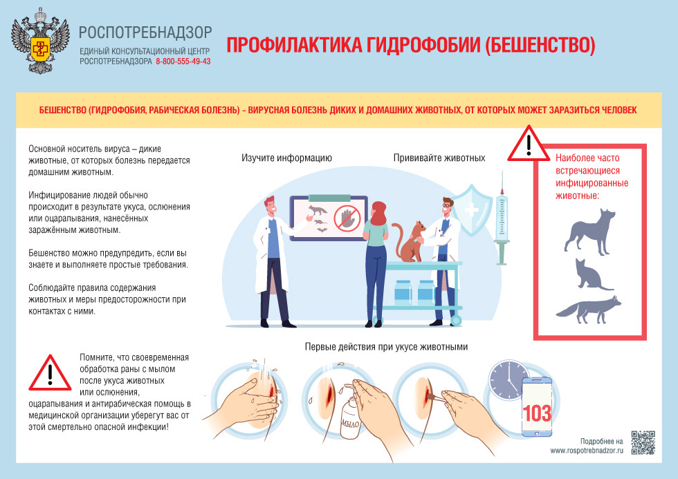 Профилактика бешенства.