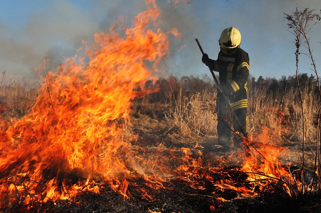 При жаркой погоде увеличивается вероятность возникновения природных пожаров по вине населения.