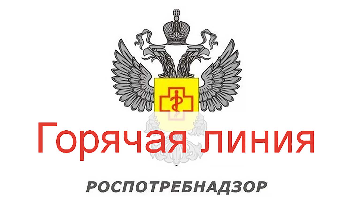Управления Роспотребнадзора по Кировской области в Вятскополянском районе информирует о проведении тематической «горячей линии».