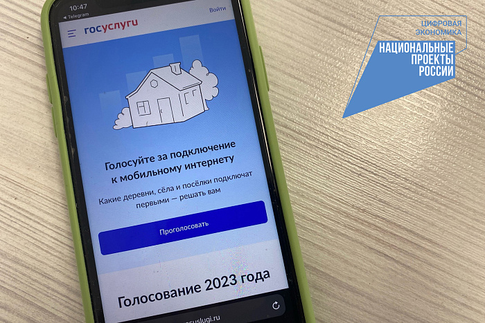 Жители Кировской области голосуют за подключение сел к интернету.