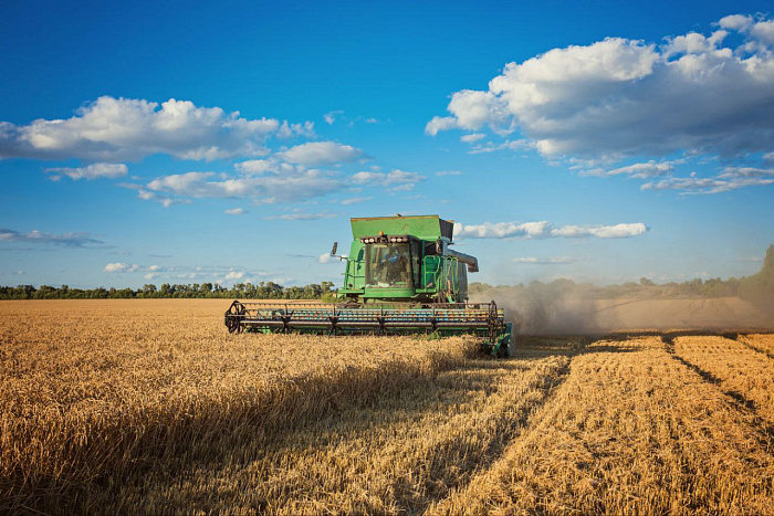 В Кировской области в 2022 году получен максимальный урожай зерна.